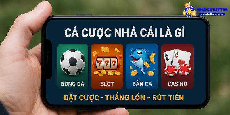 Cá cược nhà cái là gì và vì sao nhiều người mê đến vậy