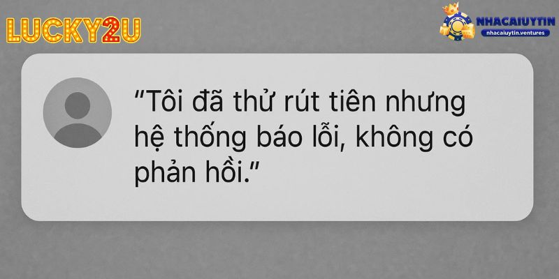 Phản Hồi Từ Người Chơi Thực Tế