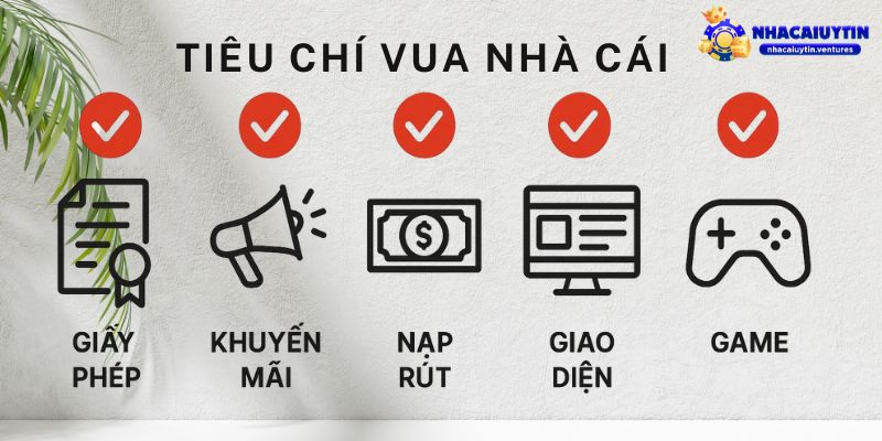 Tiêu Chí Để Một Nhà Cái Được Gọi Là Vua